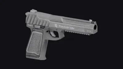 Skin Hawk Plata de la Pistola .50